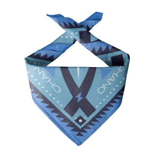 Vista principal